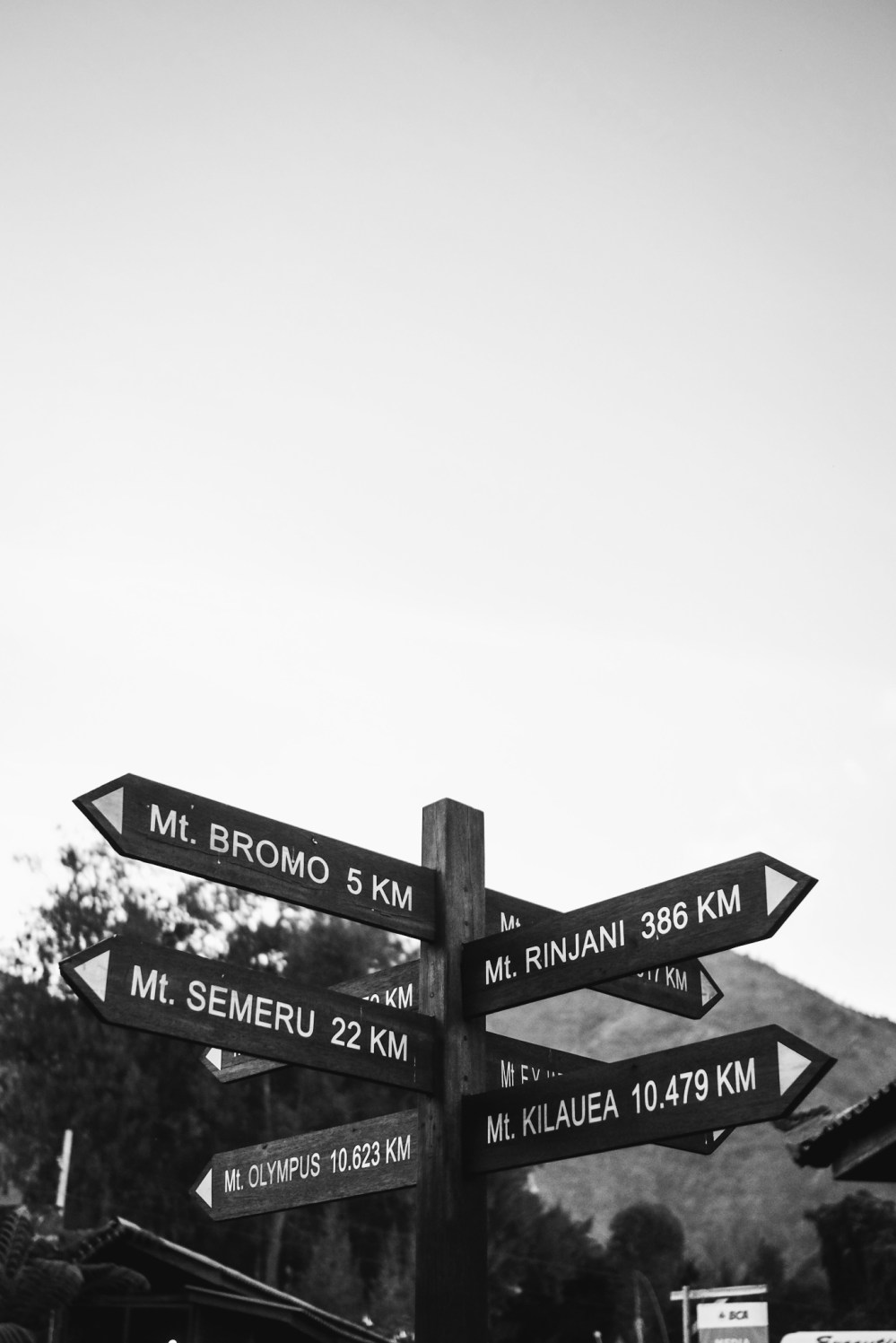 2019-07-29 11.31.16 1.jpg